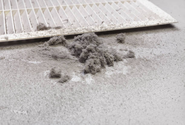 Best Dryer Vent Cleaning Services  in Smithsburg, MD