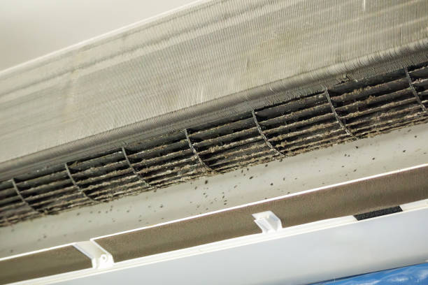 Best Professional Duct Cleaning Services  in Smithsburg, MD